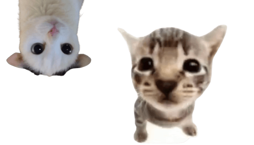 Desktop top right