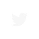the Twitter logo